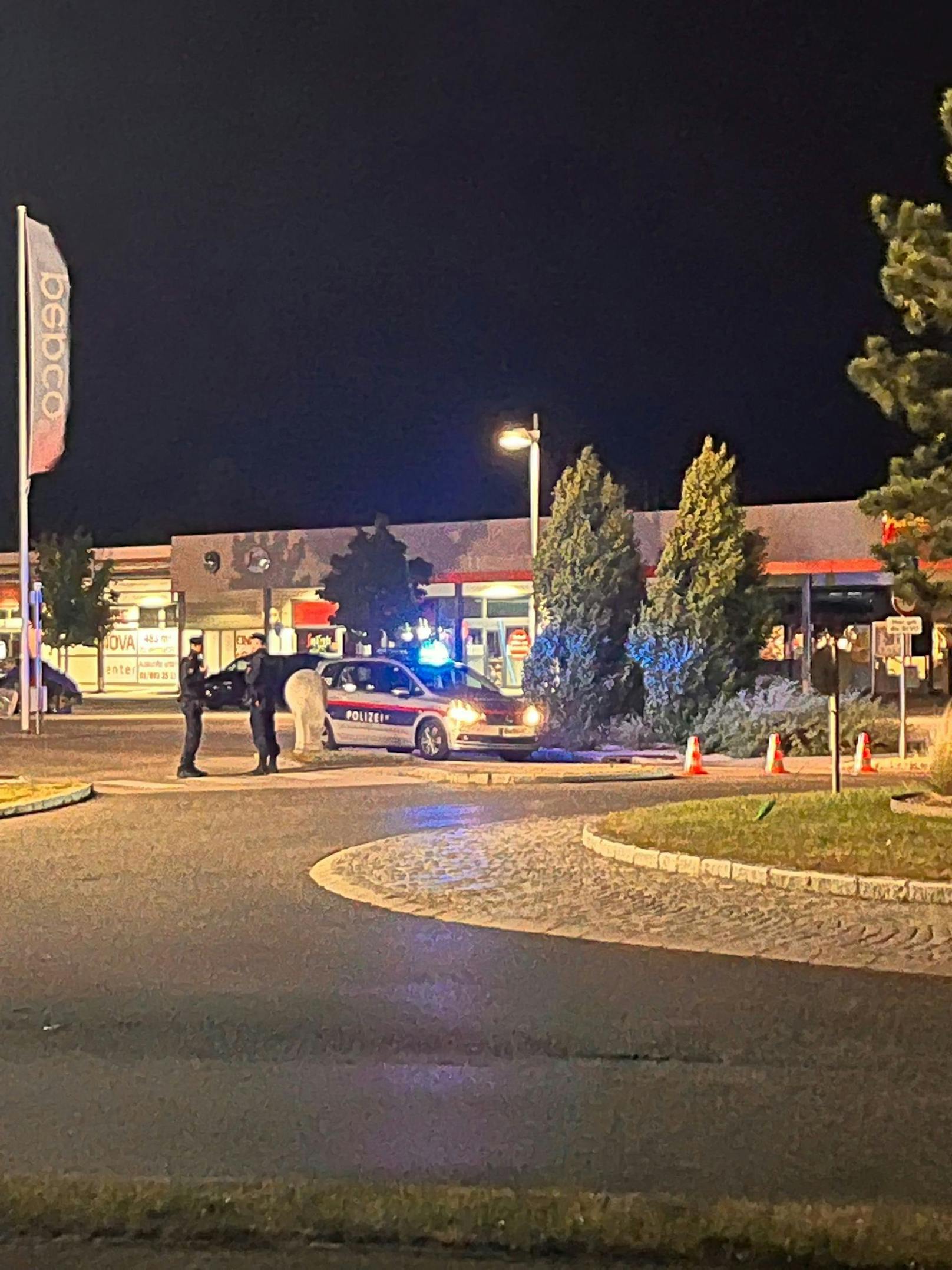 Mordalarm in Wr. Neustadt: Polizei am Tatort in Wr. Neustadt