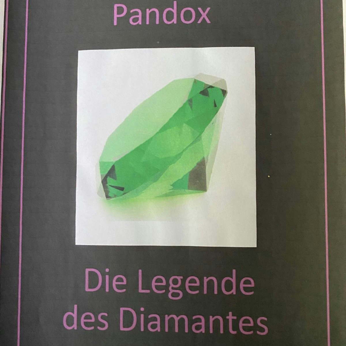 Niklas hat am Computer ein eigenes Buch geschrieben - und hofft nun auf Abnehmer.