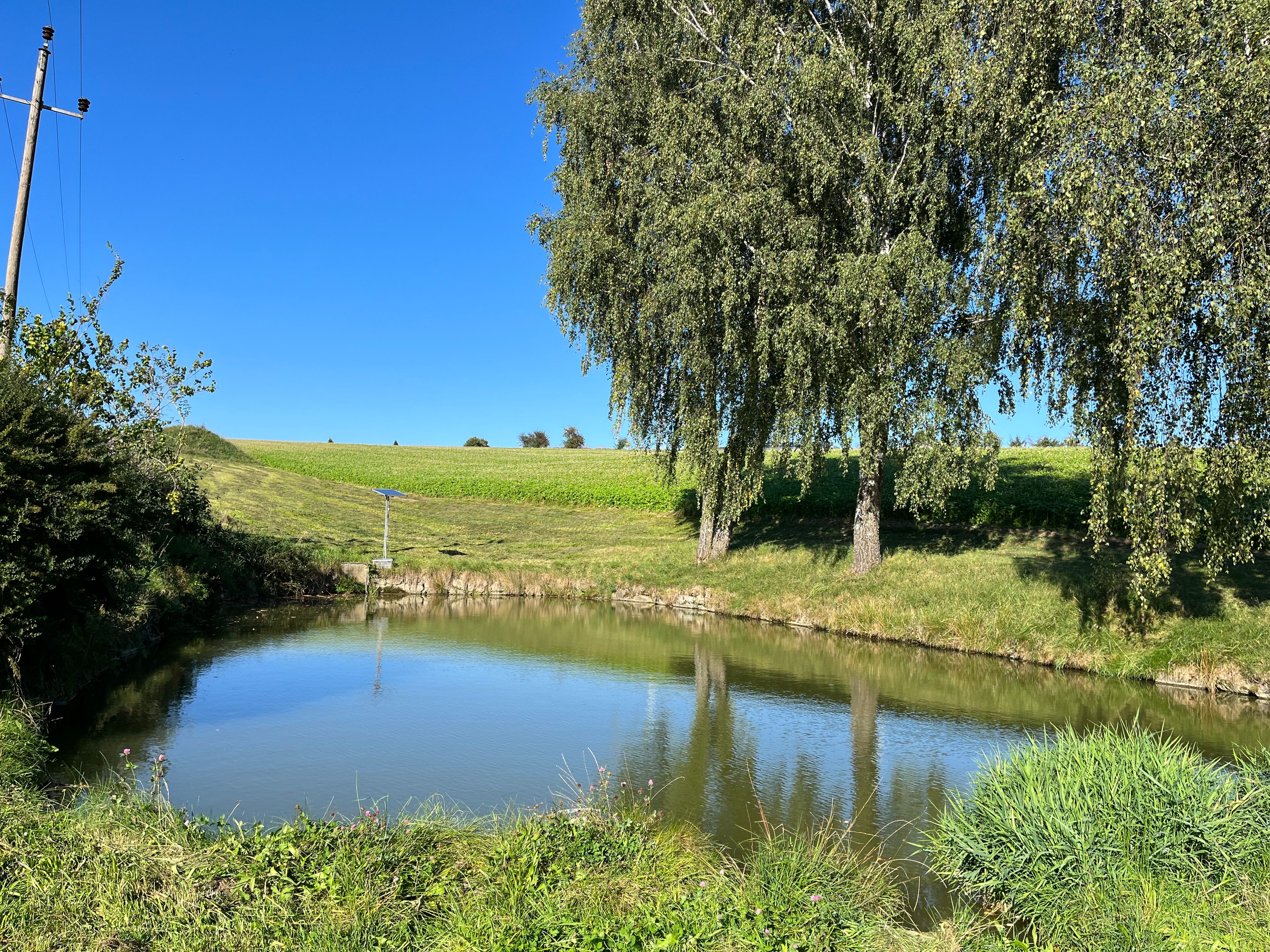 Die Frau rutschte aus und fiel in diesen Fischteich&nbsp;