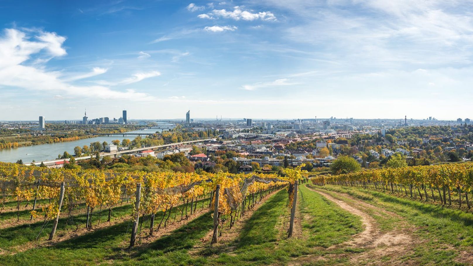 Panoramablick über Weingärten auf Wien. Symbolbild.