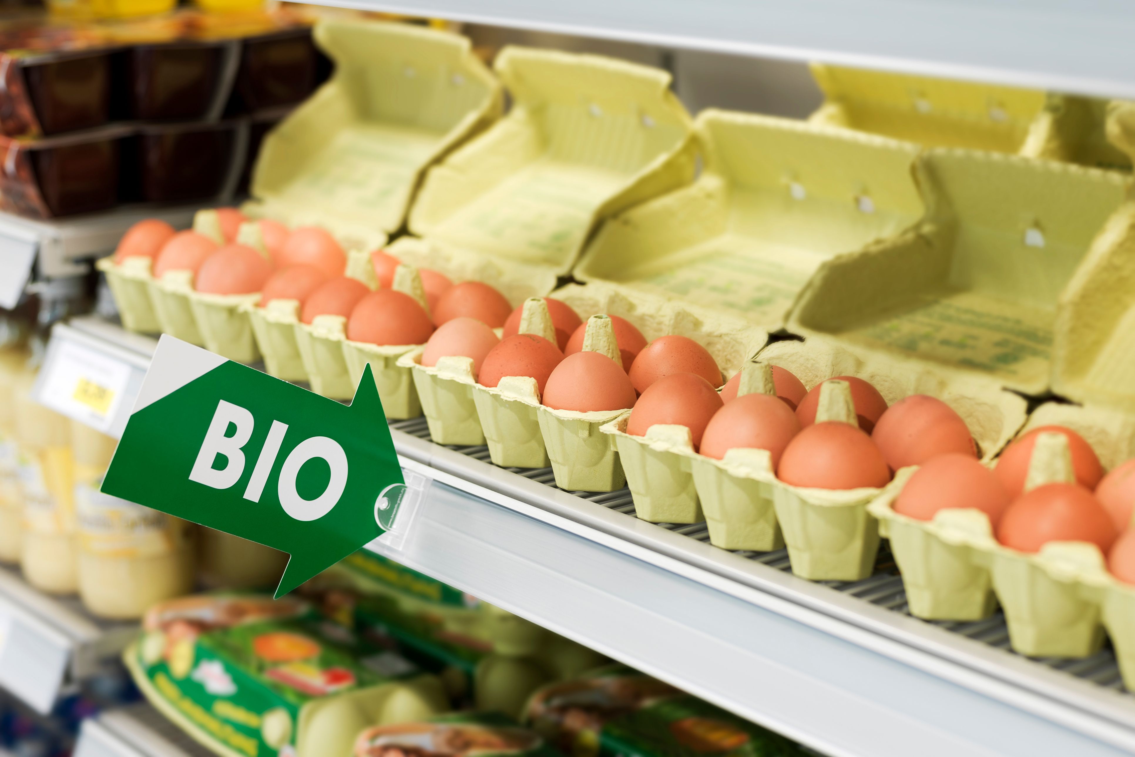 Bei der Nachfrage nach Bioprodukten konnte im letzten Jahr wieder das hohe Niveau von 2021/22 erreicht werden.