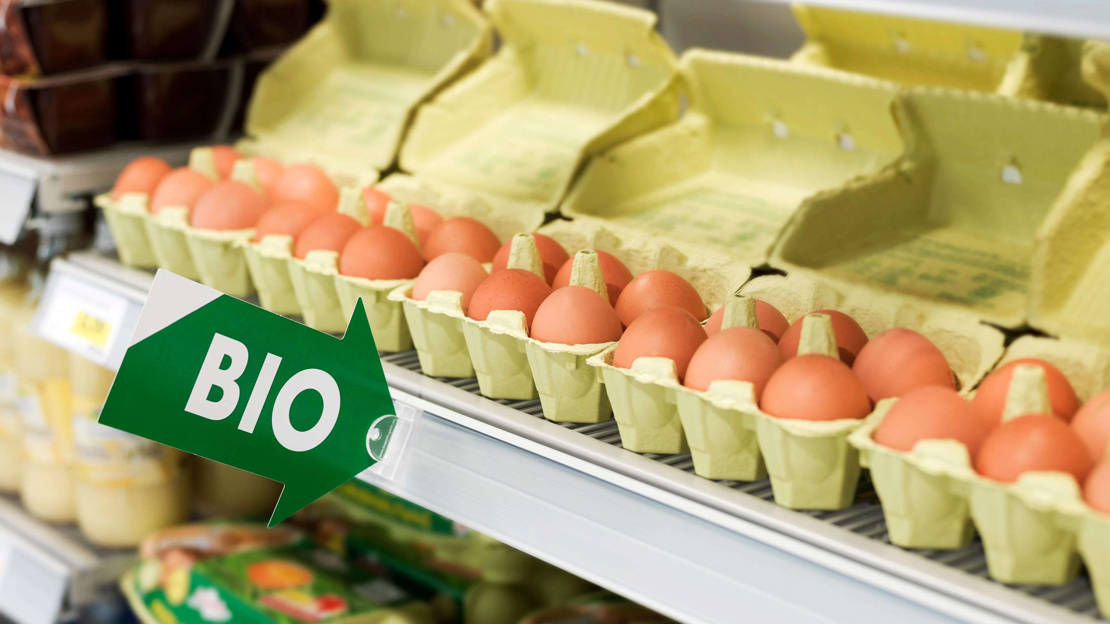 Heute.at - Nachfrage nach Bio-Lebensmitteln ist deutlich gestiegen