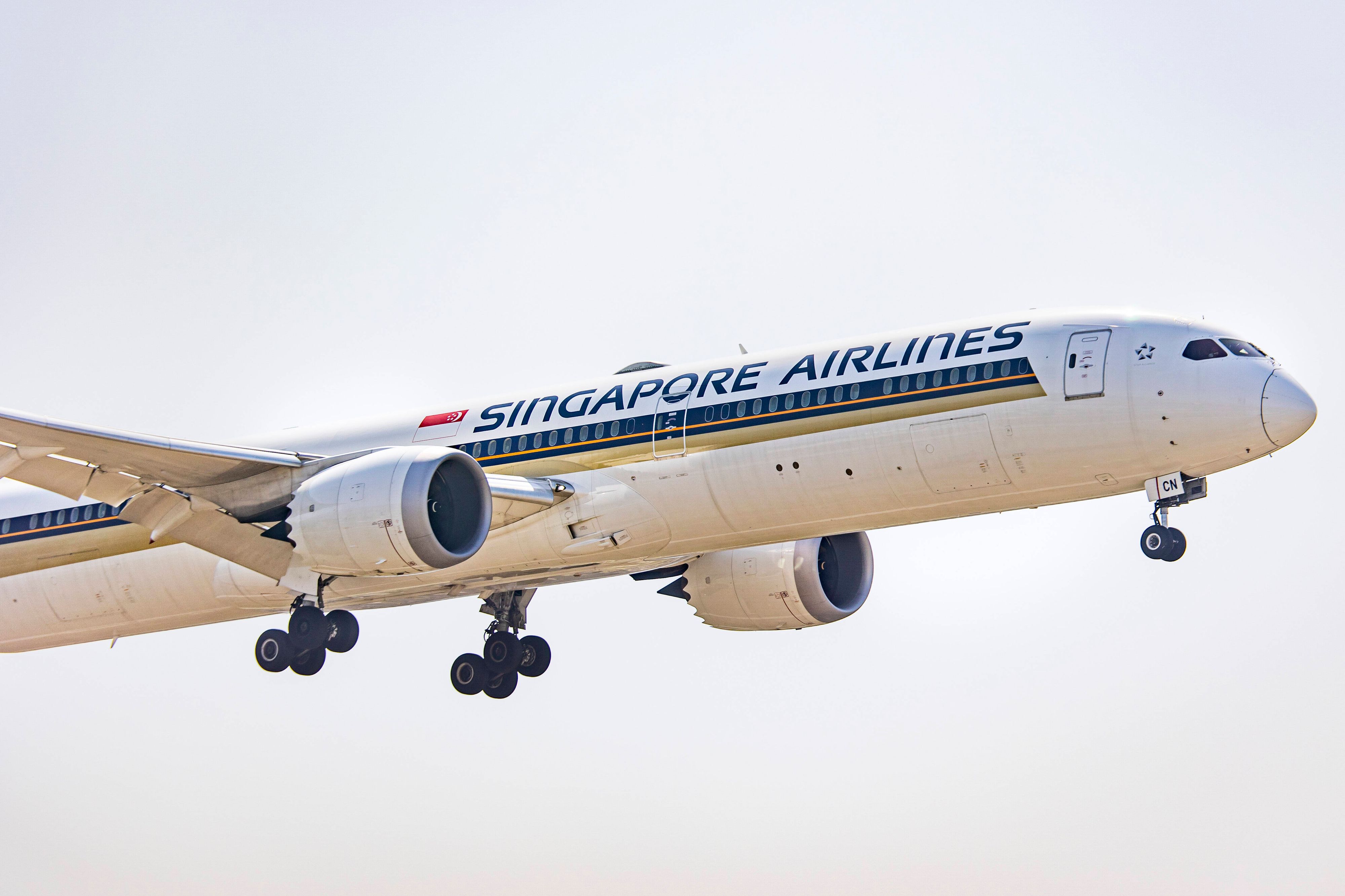 Nachdem sie sich per E-Mail beschwert hatten, bot die Fluggesellschaft jedem der beiden Passagiere einen Gutschein im Wert von 100 Singapur-Dollar (rund 68 Euro) an – dieses Angebot lehnte das Ehepaar jedoch ab. (Symbolbild)