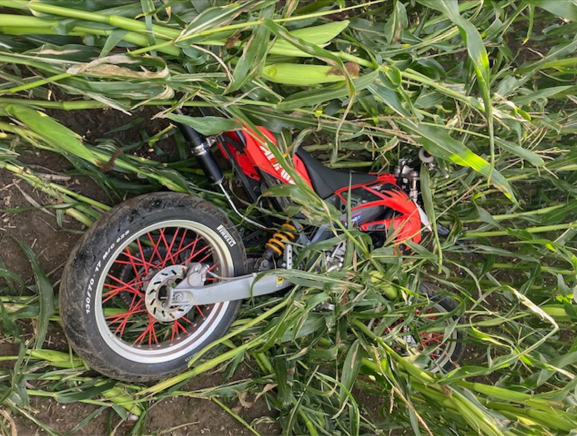 Die Verfolgungsjagd endete für den 16-Jährigen Motorfahrradfahrer in einem Maisfeld.