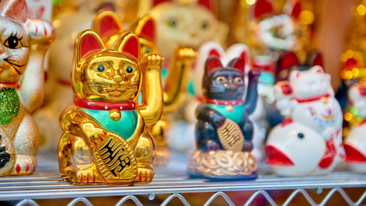 Several traditional Japanese waving cats, with a golden one in focus and the others in the blurred background.