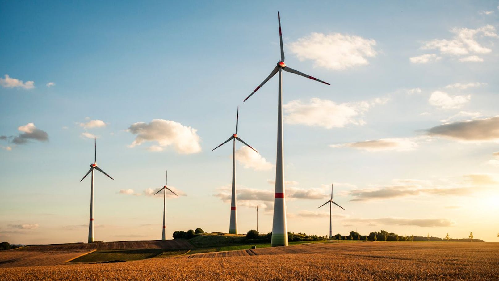Ausbau der Windkraft bricht 2024 um zwei Drittel ein