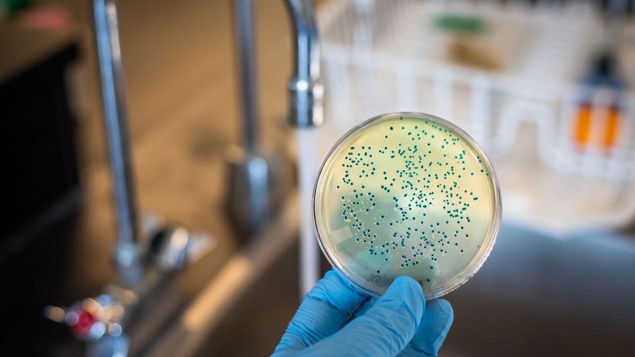 Heute.at - Keim-Fund im Trinkwasser – zwei Orte noch unsicher