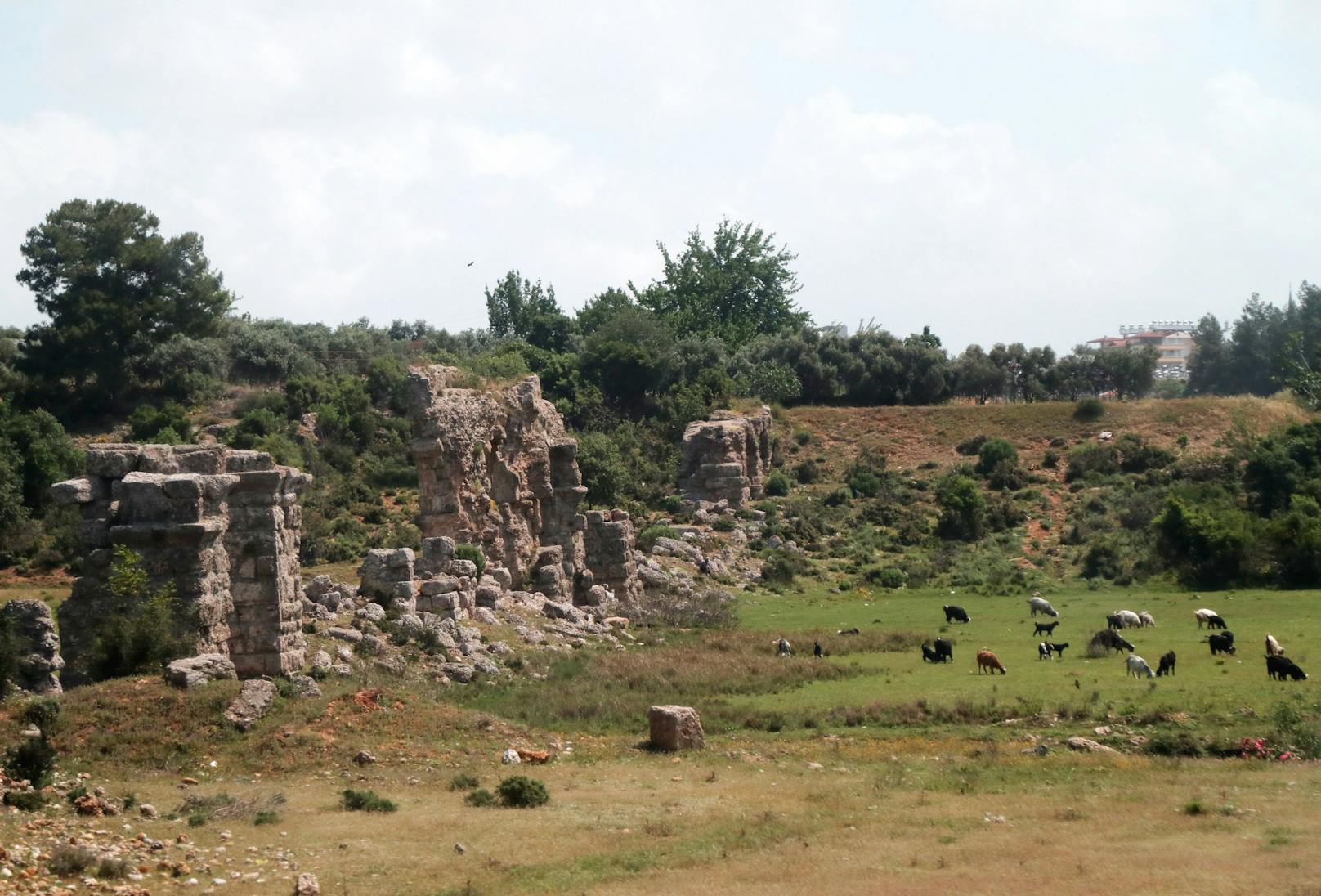 Die Ortschaft Manavgat in der Nähe von Antalya ist bekannt für Überbleibsel aus vergangenen Zeiten. (Archivbild)