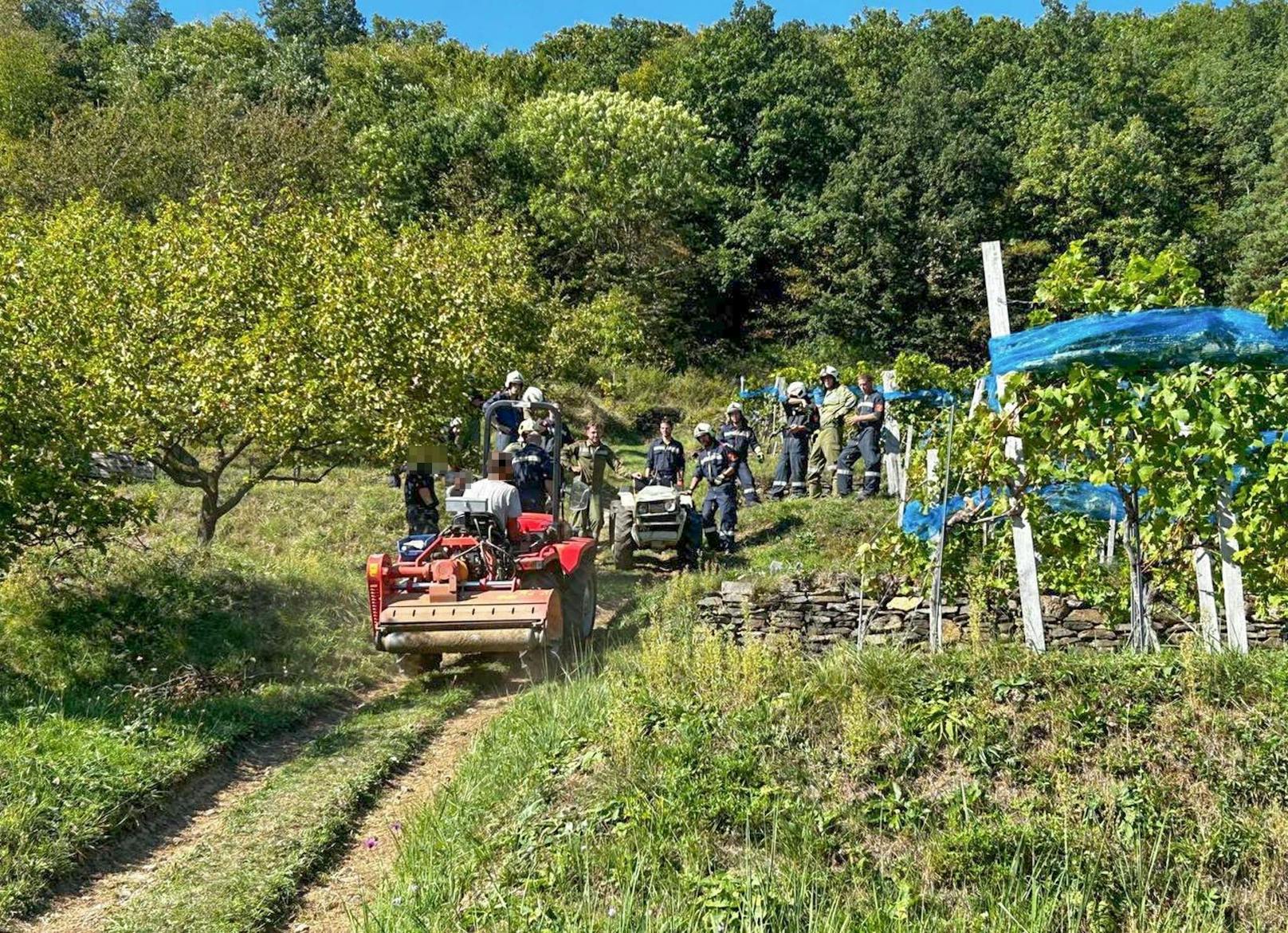 Landwirt stürzte in Wachauer Weingarten mit Traktor ab