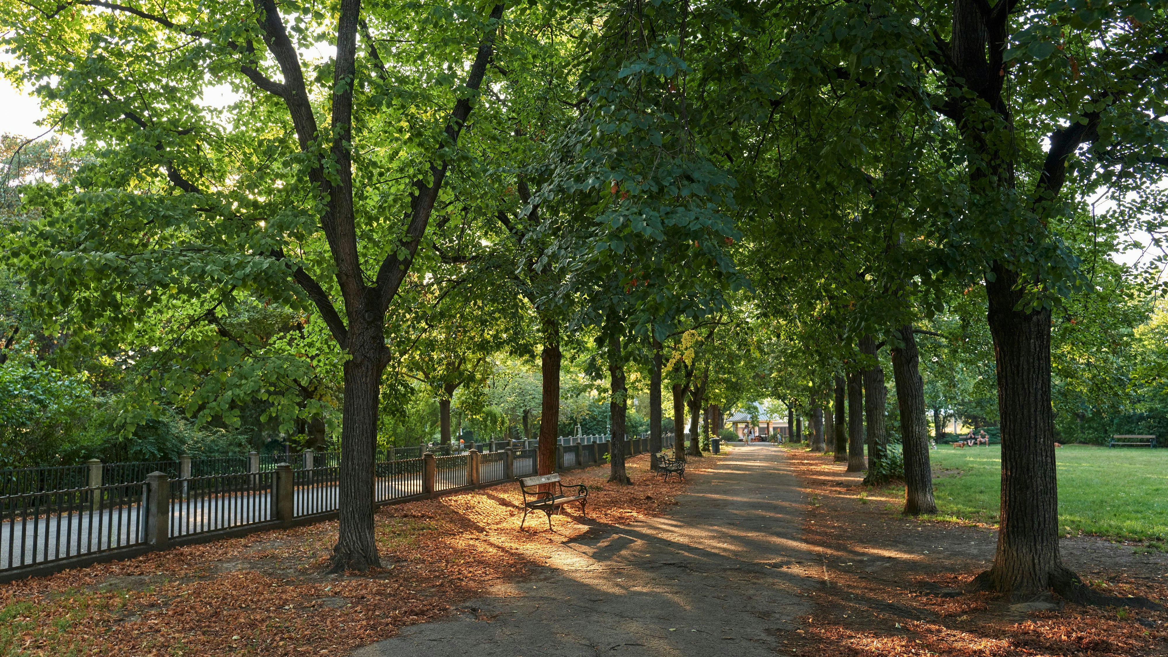Der Vorfall ereignete sich im Waldmüllerpark in Favoriten.