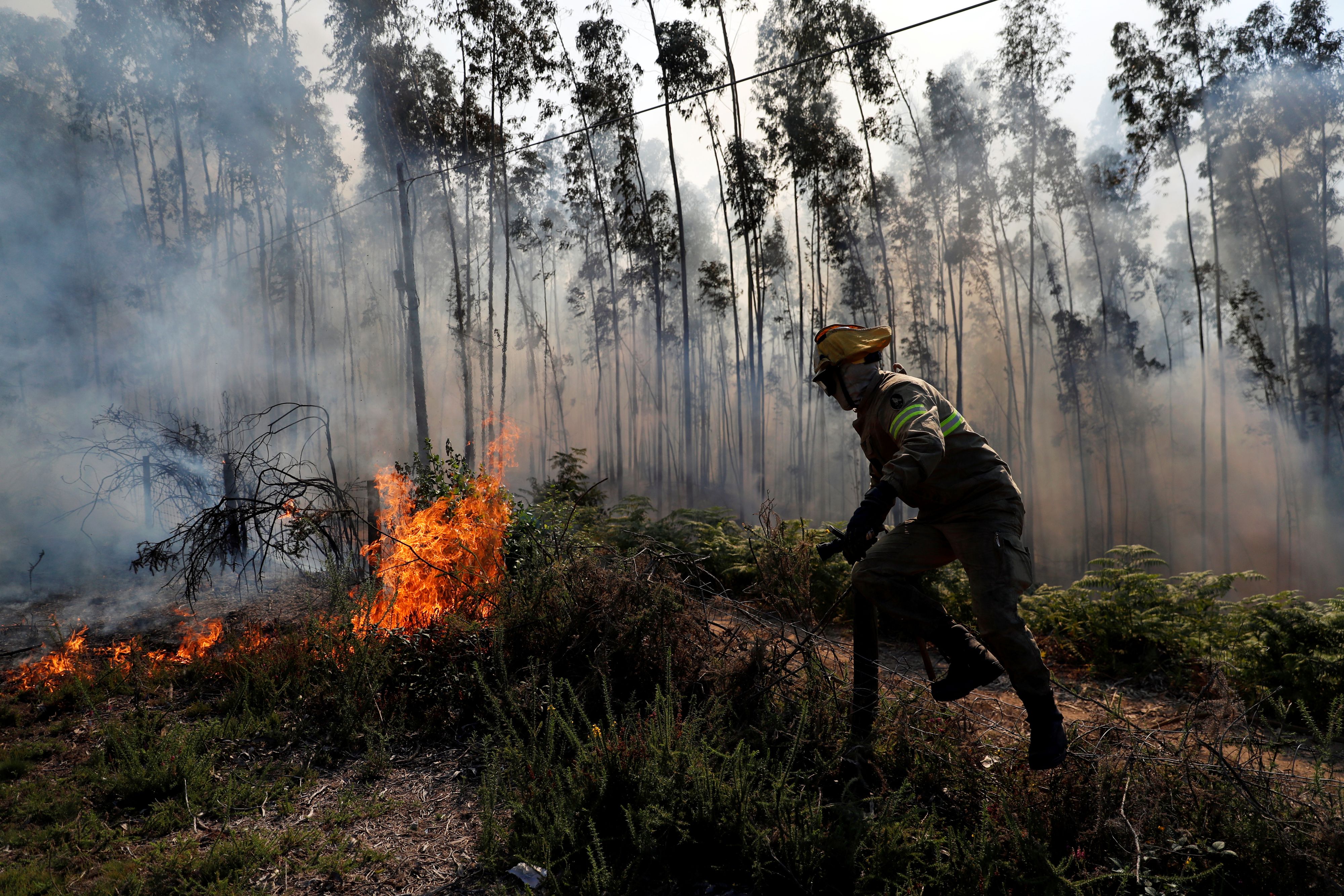 In Portugal wüteten vor einigen Jahren verheerende Waldbrände – für die jungen Kläger waren diese der Anlass für die Klage