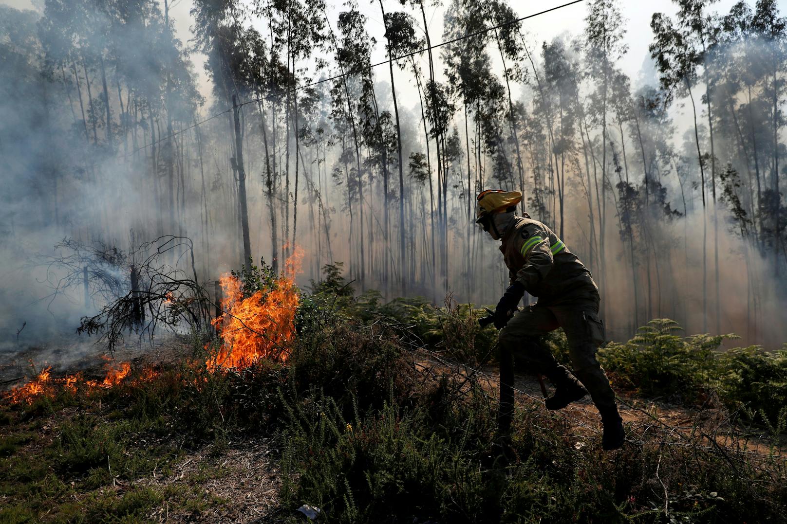 In Portugal wüteten vor einigen Jahren verheerende Waldbrände – für die jungen Kläger waren diese der Anlass für die Klage.