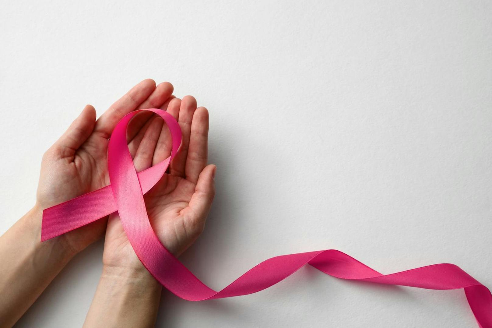 Diagnose Krebs? Cancer School vermittelt Wissen