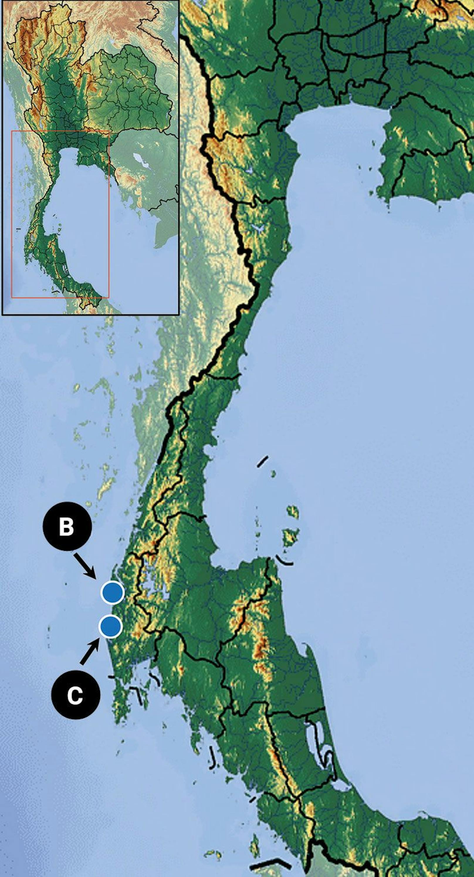 Beide in der südthailändische Provinz Phang-Ngafanden.