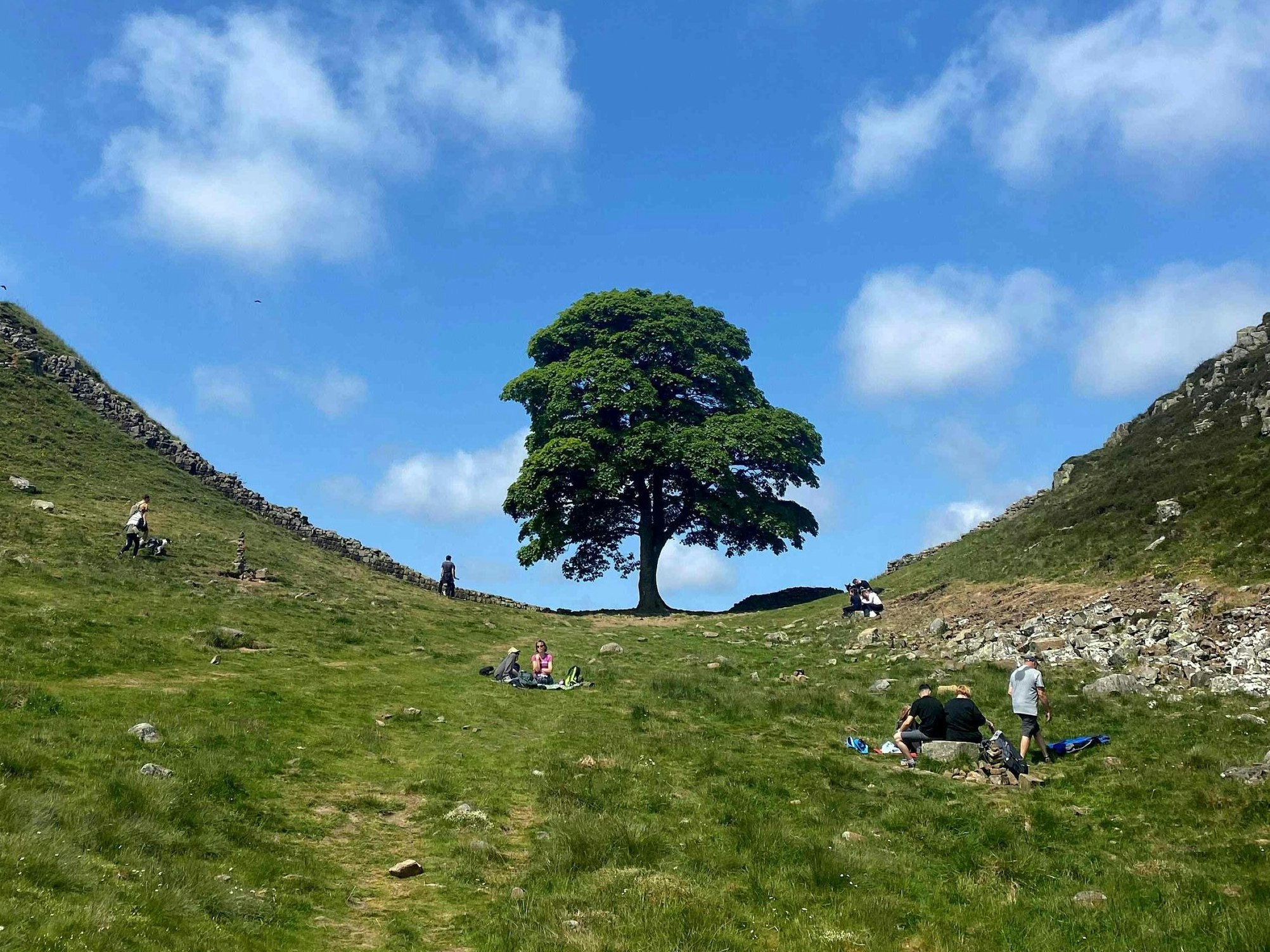 Vor der Tat war der Baum ein beliebtes Ausflugsziel