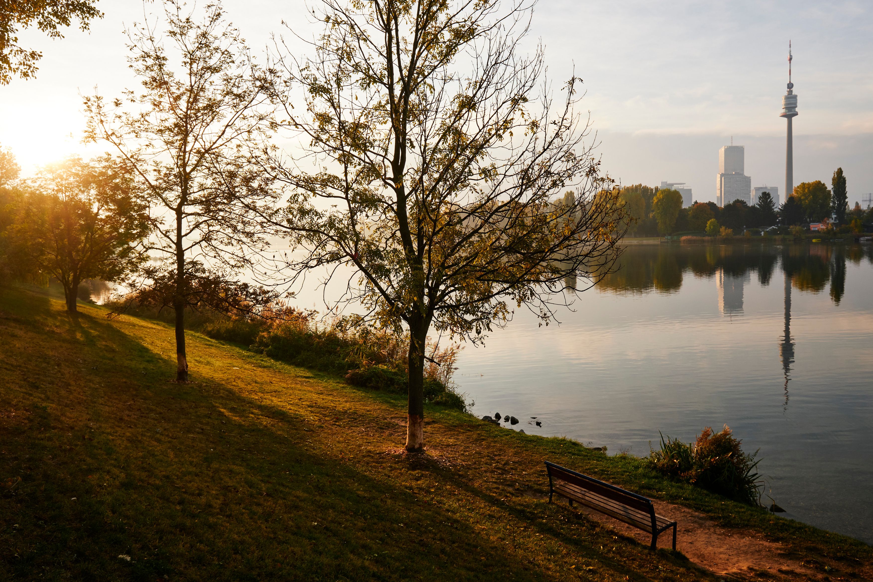 Panoramablick über Weingärten auf Wien.