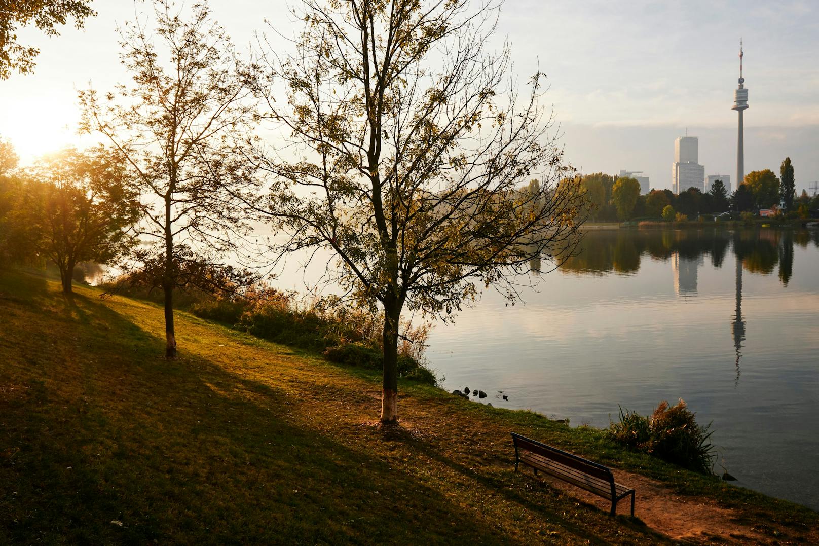 Herbstliche Landschaft an der Alten Donau. Archivbild, aufgenommen Ende Oktober 2021. 