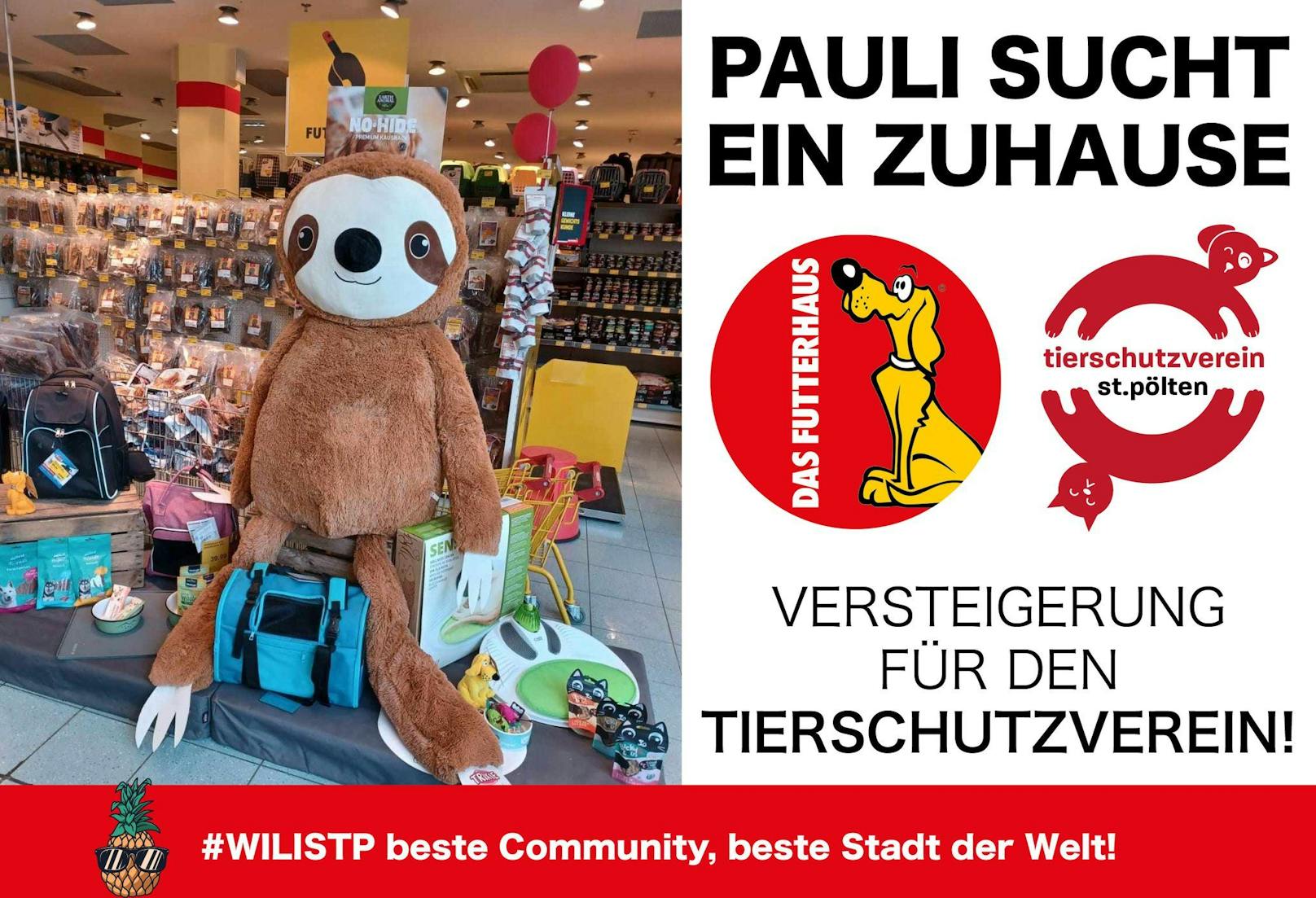 "Pauli, das Faultier" wurde in der Fb-Gruppe "Was ist los in St. Pölten" versteigert.