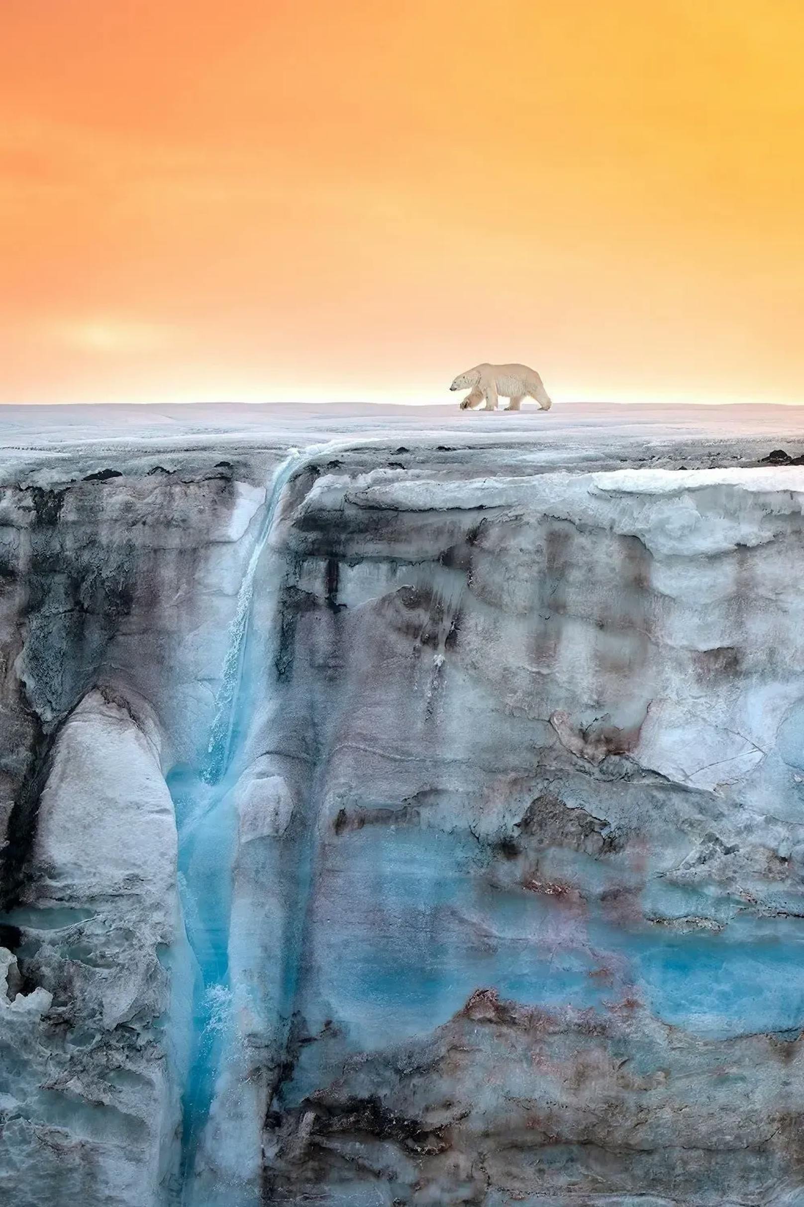 Ein Eisbär spaziert über einen Gletscher, der von einem Wasserfall geschmückt wird. Aufgenommen wurde das Bild in der Grönlandsee.