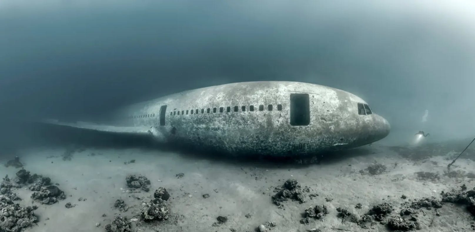 Die Lockheed Martin L1011 Tristar, ein absichtlich versenktes Flugzeugwrack im Roten Meer, überragt einen Taucher (rechts).