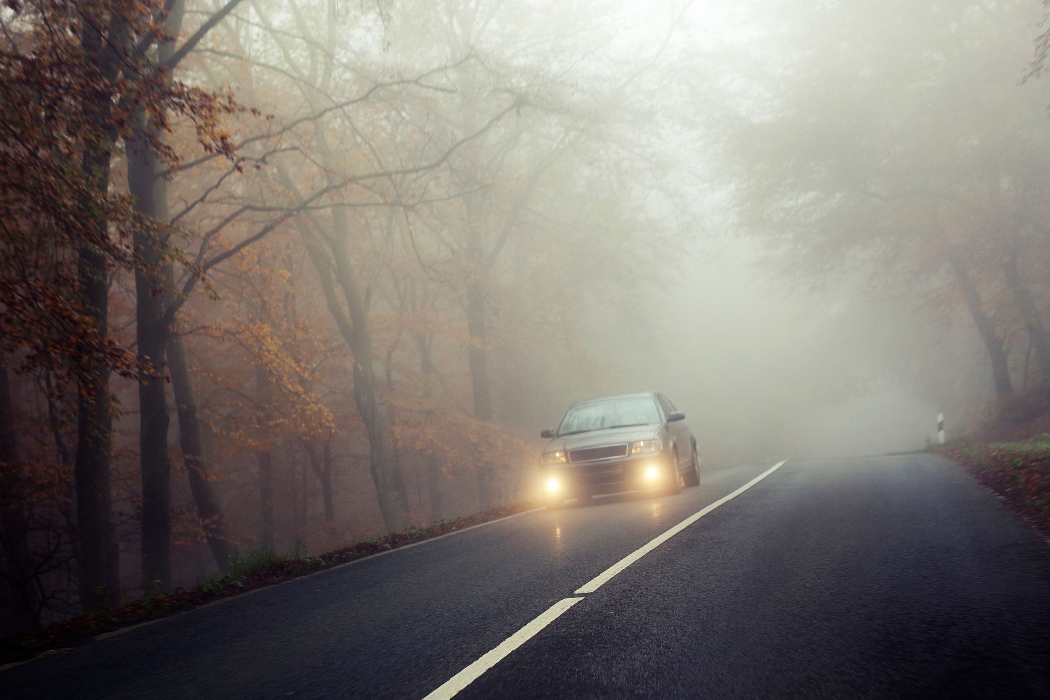 Besonders lästig ist der Nebel beim Autofahren. Symbolbild