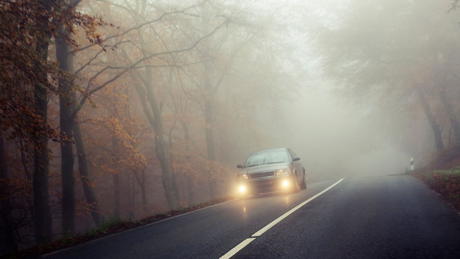 Aufgepasst! Nebel wird jetzt unser treuer Begleiter