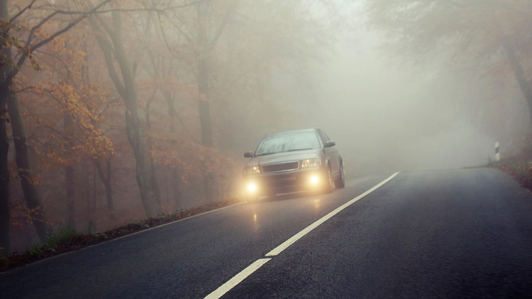 Der Nebel versperrte einem jungen Autofahrer die Sicht.