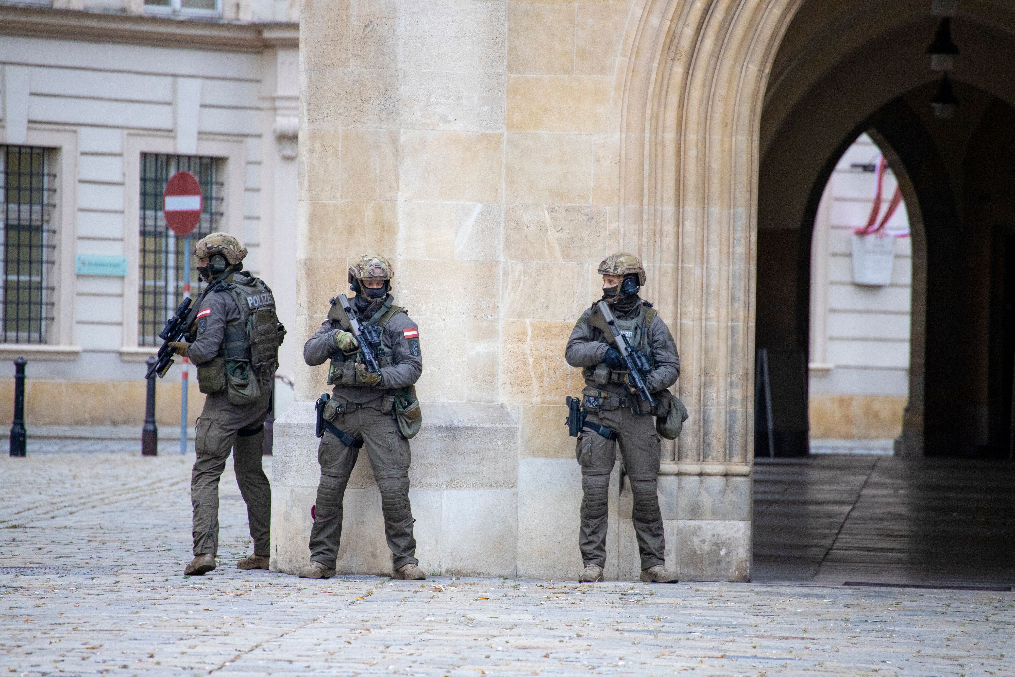 Beamte des Einsatzkommandos Cobra-Süd/DSE wollten den Besuchern die Arbeitsweise der Spezialeinheit präsentieren (Symbolbild).