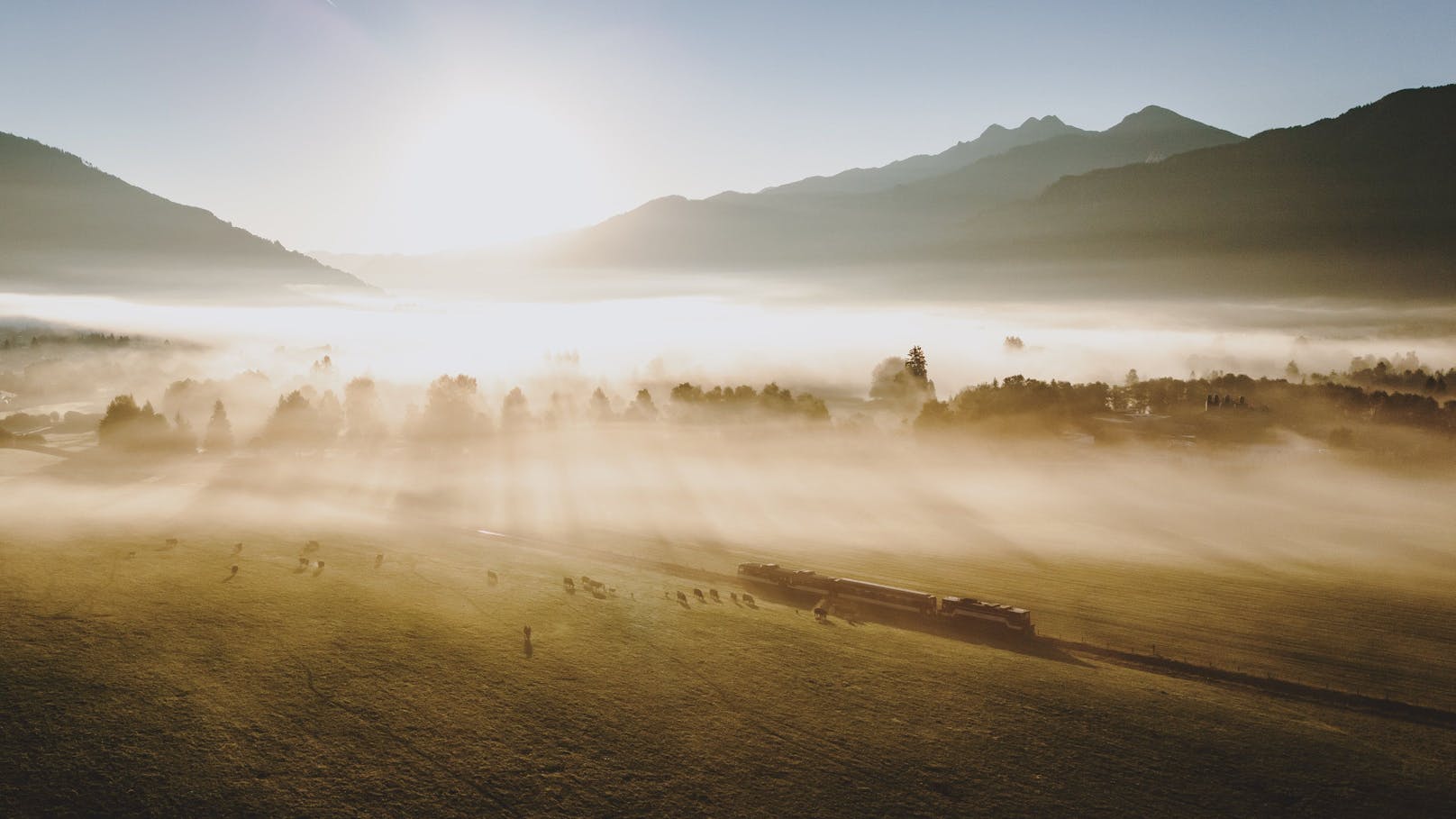 Sogar der Nebel verändert sich durch den Klimawandel