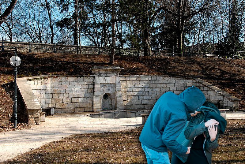 Ein junger Kärntner wurde bei einer Rauferei im Schillerpark in Klagenfurt brutal angegriffen.