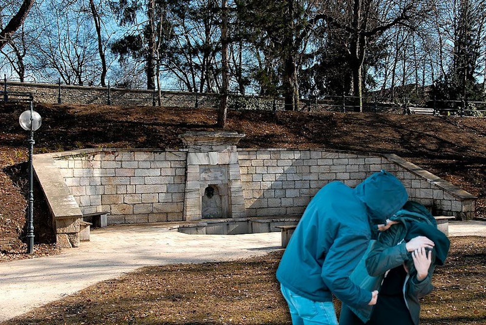 Ein junger Kärntner wurde bei einer Rauferei im Schillerpark in Klagenfurt brutal angegriffen.