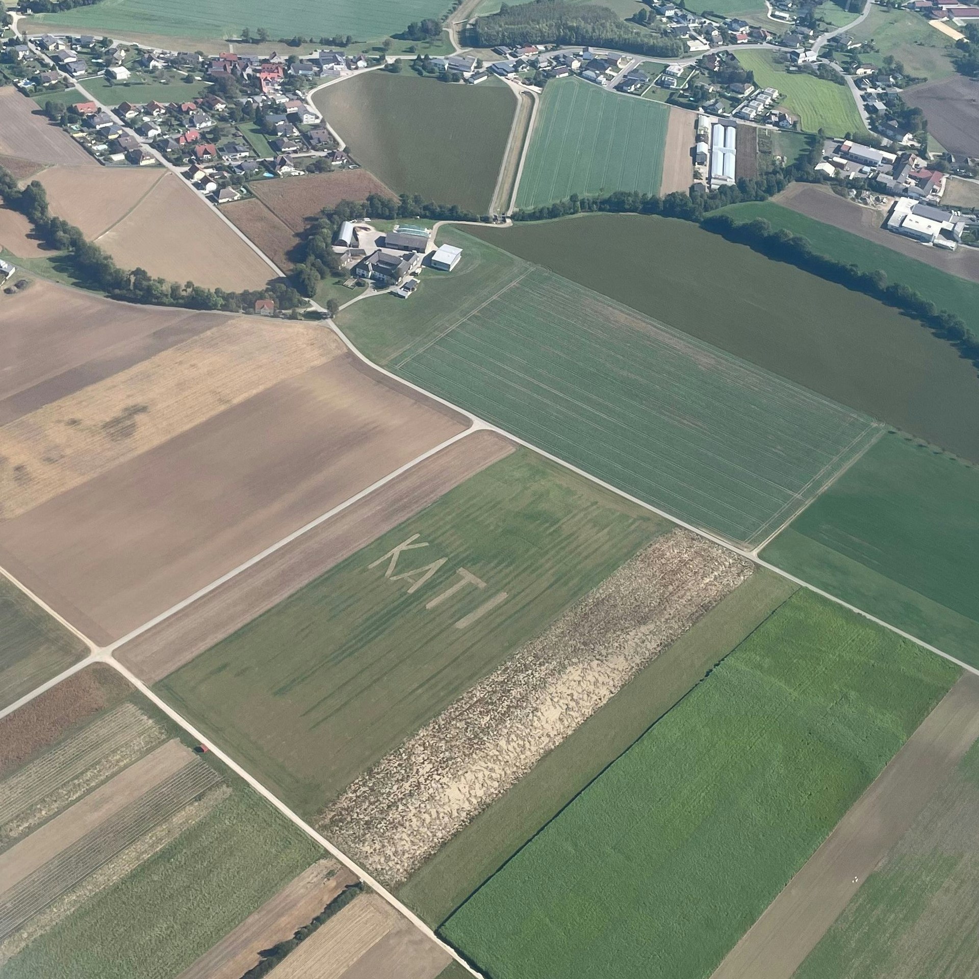 Ayleen und Magdalena entdeckten bei einem Rundflug über Ybbs den Namen im Feld.