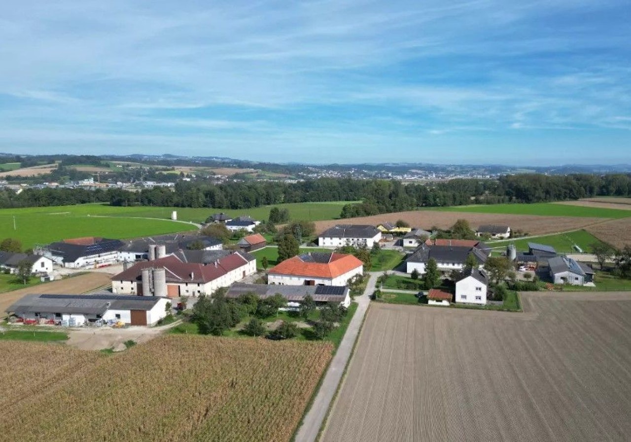 Heute.at - Kampfhund fällt Joggerin an, zerfleischt und tötet sie