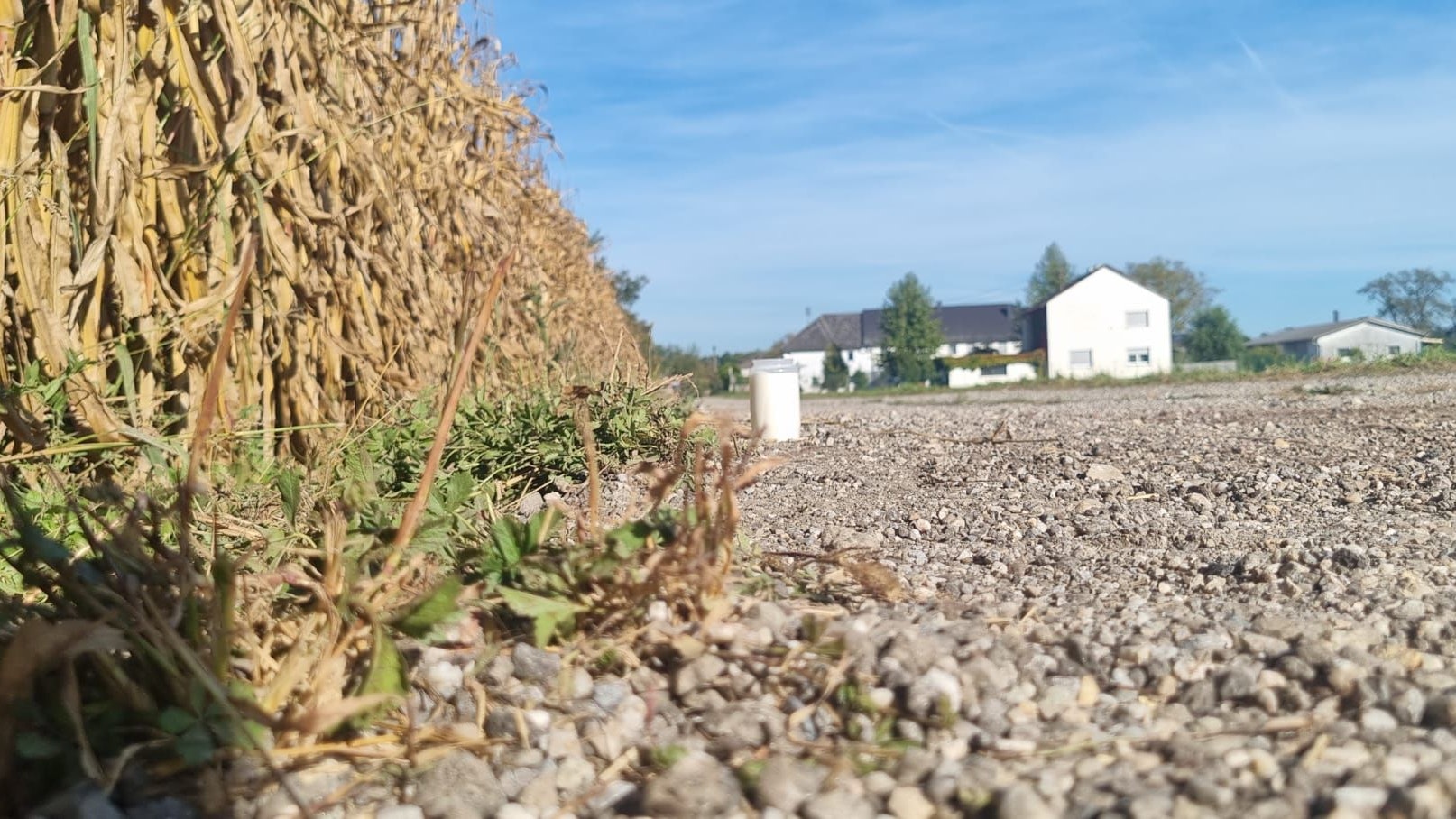 Auf diesem Feldweg im Ortsteil Sebern in Naarn im Mühlviertel kam es zu der Attacke.