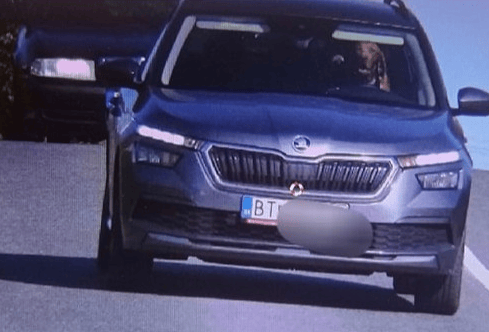 Ja, auf diesem Blitzer-Foto ist tatsächlich ein Hund auf dem Fahrersitz zu sehen. Aufgenommen wurde es in der Slowakei. Die Polizei hat das Bild auf Facebook veröffentlicht.