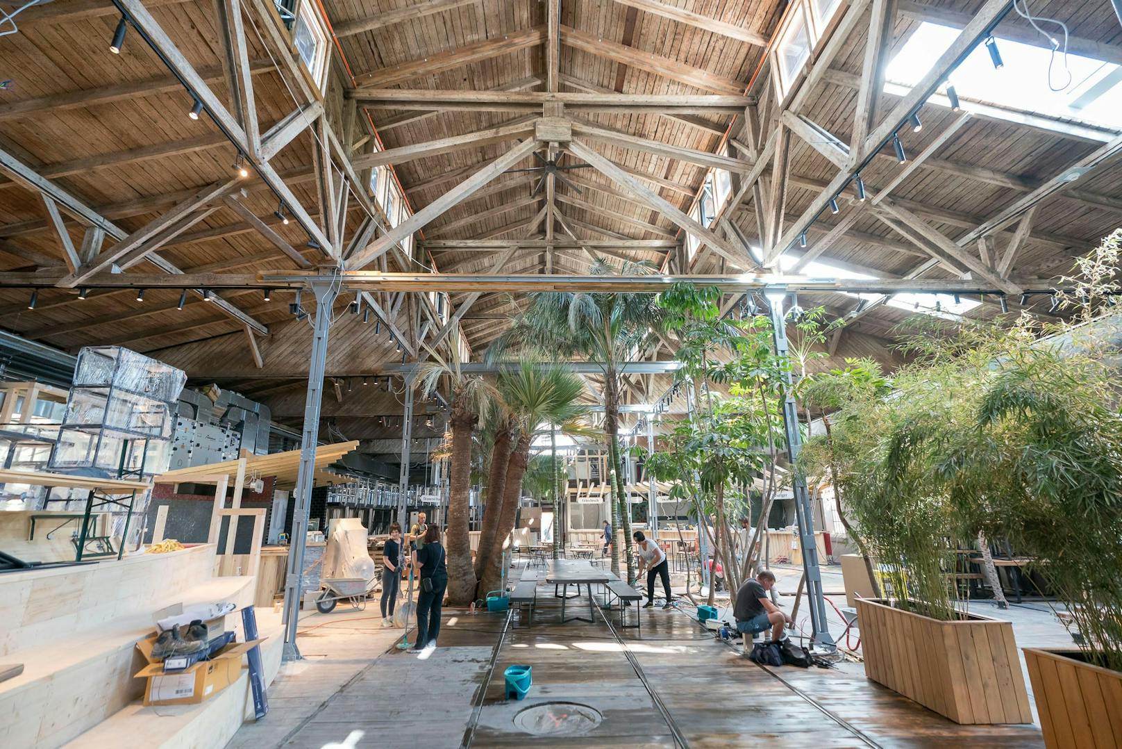 Echte Palmen und Olivenbäume wachsen in der Halle