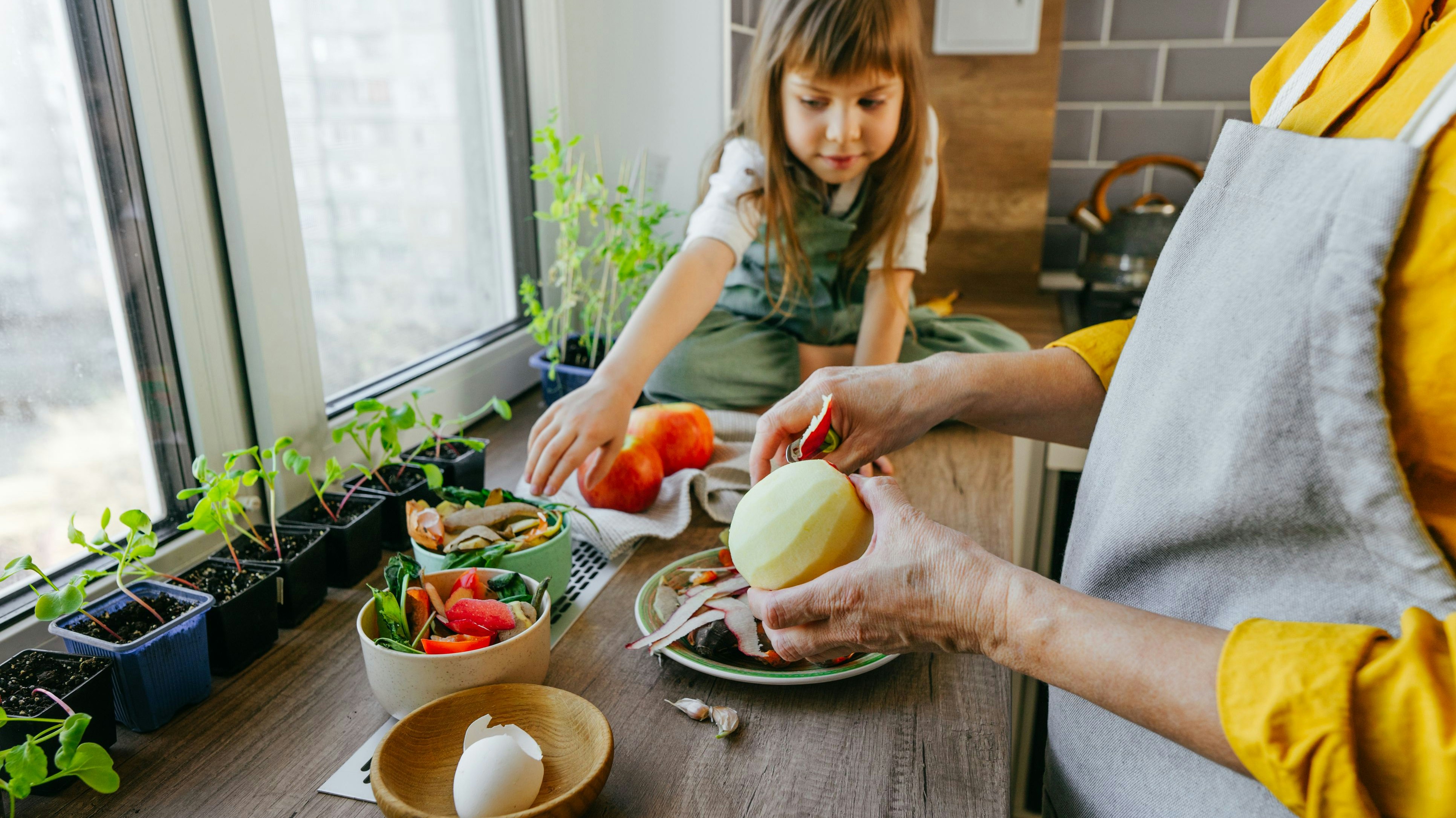 Close up of senior woman peeling an apple for her granddaughter. Fruits and vegetable peelings and eggshells ready to compost on the kitchen table. Selective focus on the apple.