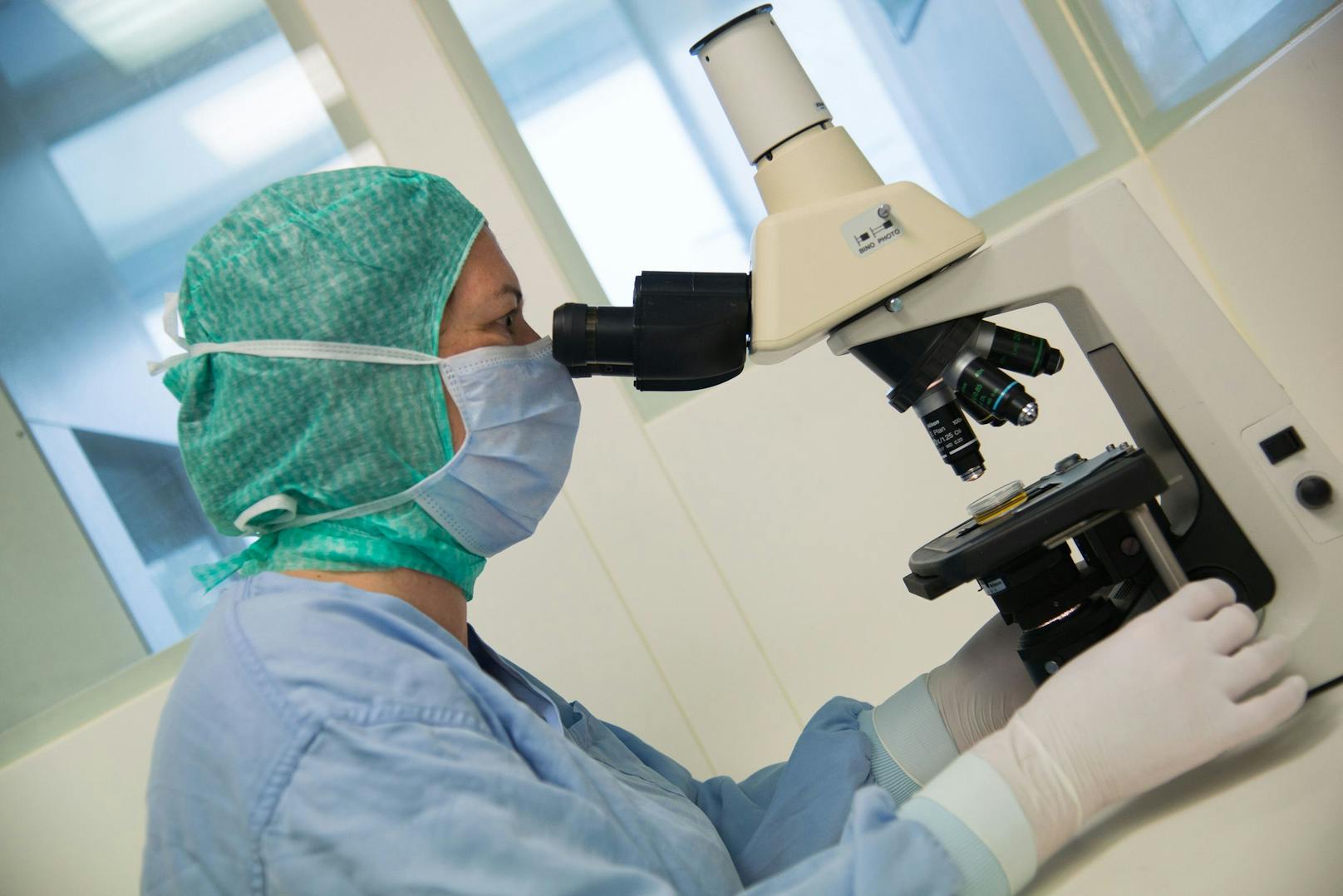 Forschung am Technopol Krems: Mikroskopieren bei Arthro Kinetics