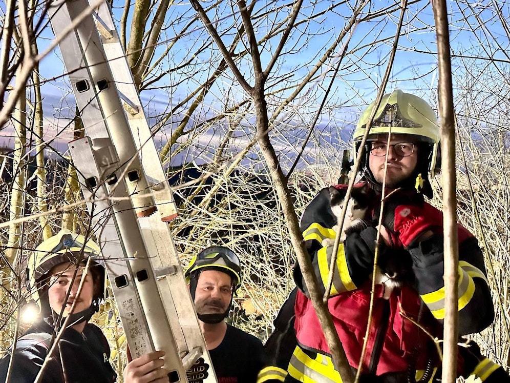 Einsätze der Feuerwehrkräfte 