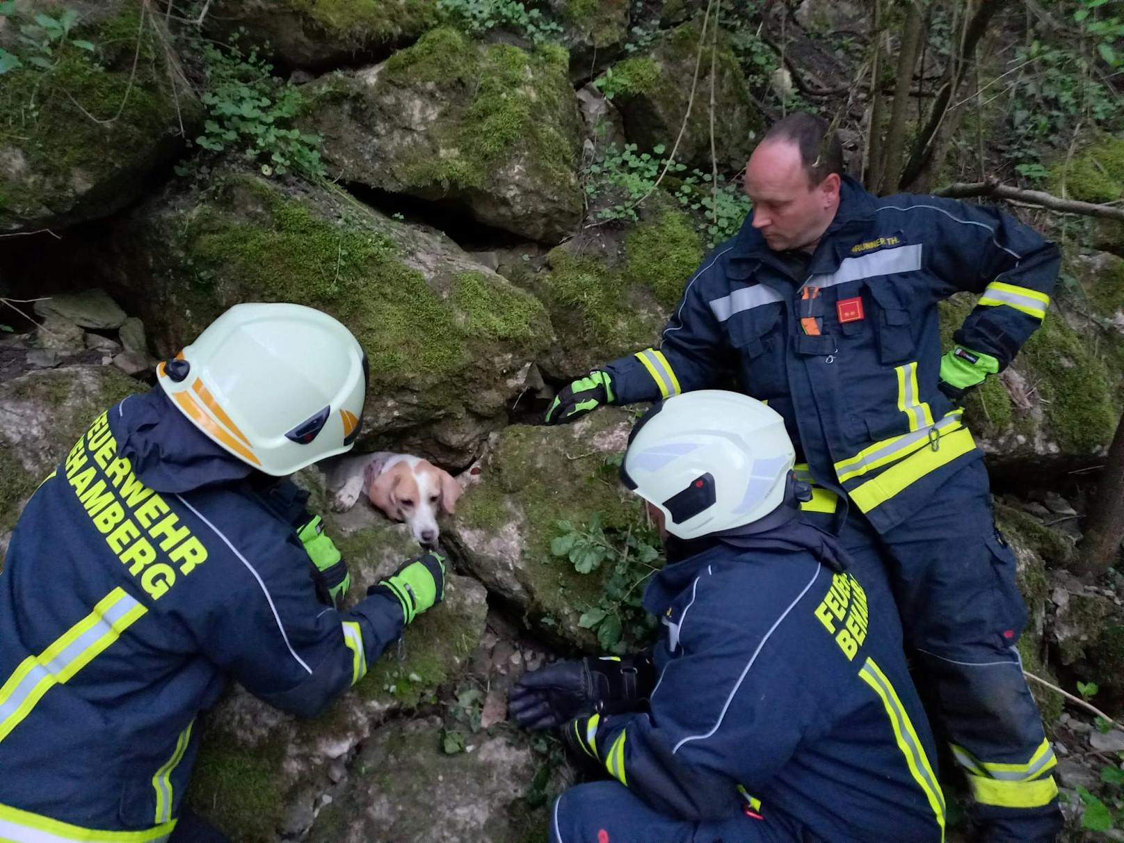 Die Feuerwehr Behamberg musste einen eingeklemmten Hund retten.