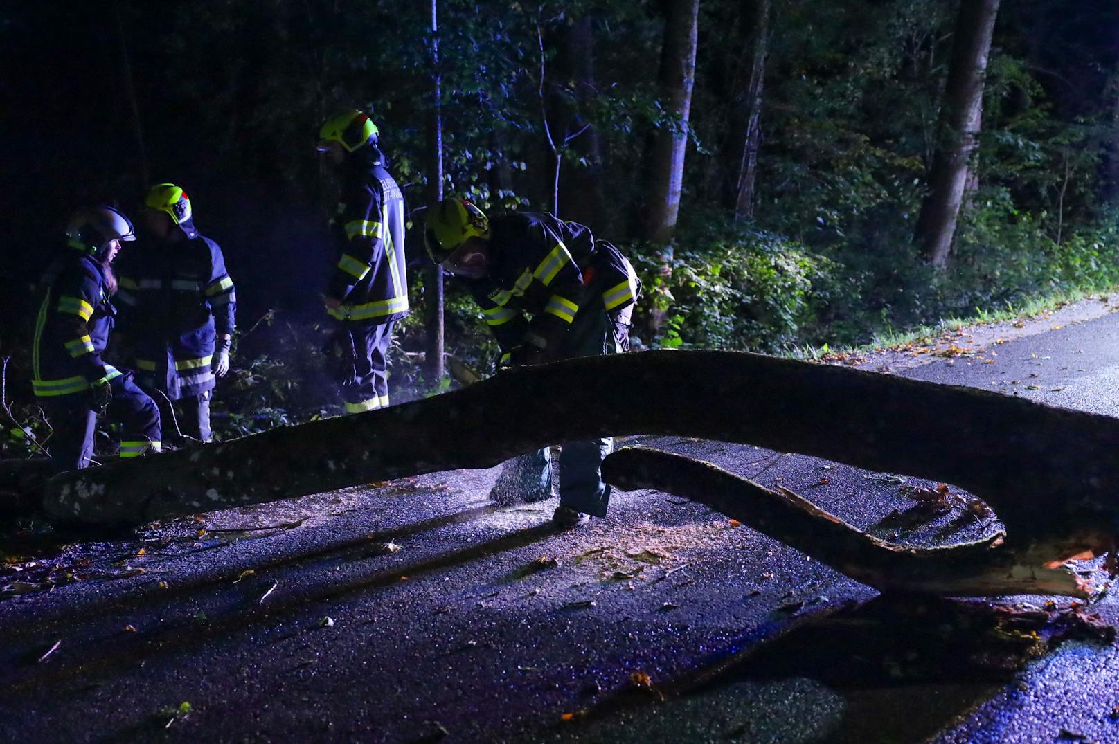 Mehrere Feuerwehren standen in der Nacht auf Mittwoch nach teils heftigen Sturmböen über Oberösterreich im Einsatz.