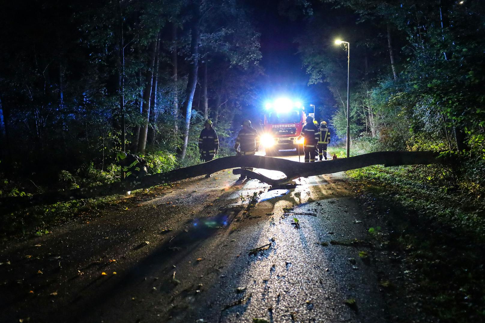 Mehrere Feuerwehren standen in der Nacht auf Mittwoch nach teils heftigen Sturmböen über Oberösterreich im Einsatz.