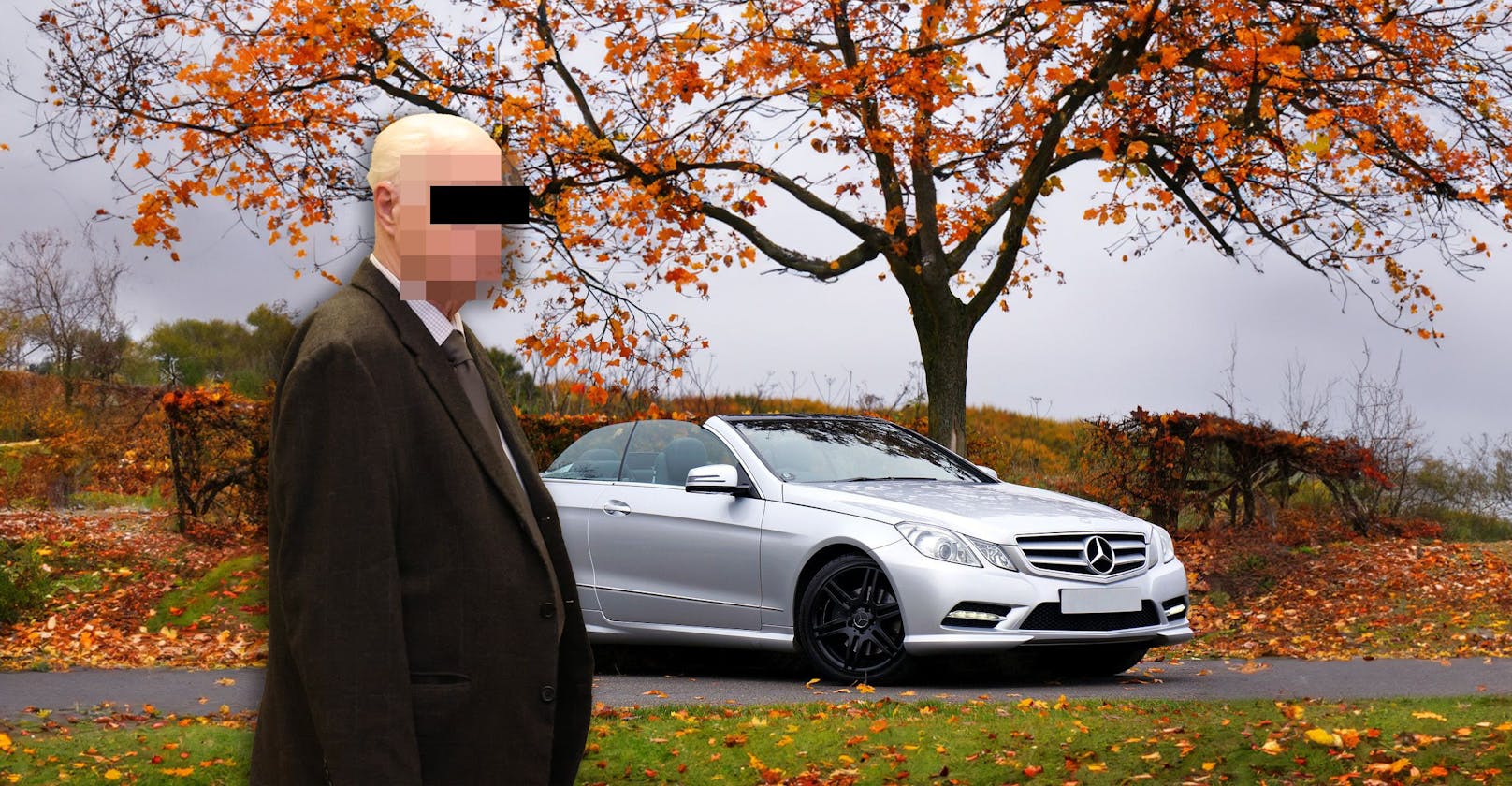 Richard W. (81) soll sich von Fördergeldern der Stadt Wien ein Luxus-Cabrio geleistet haben.