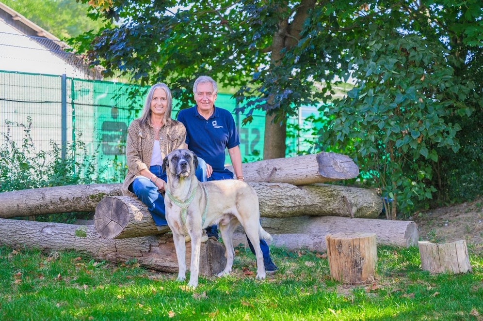 Bilanz des TSV St. Pölten