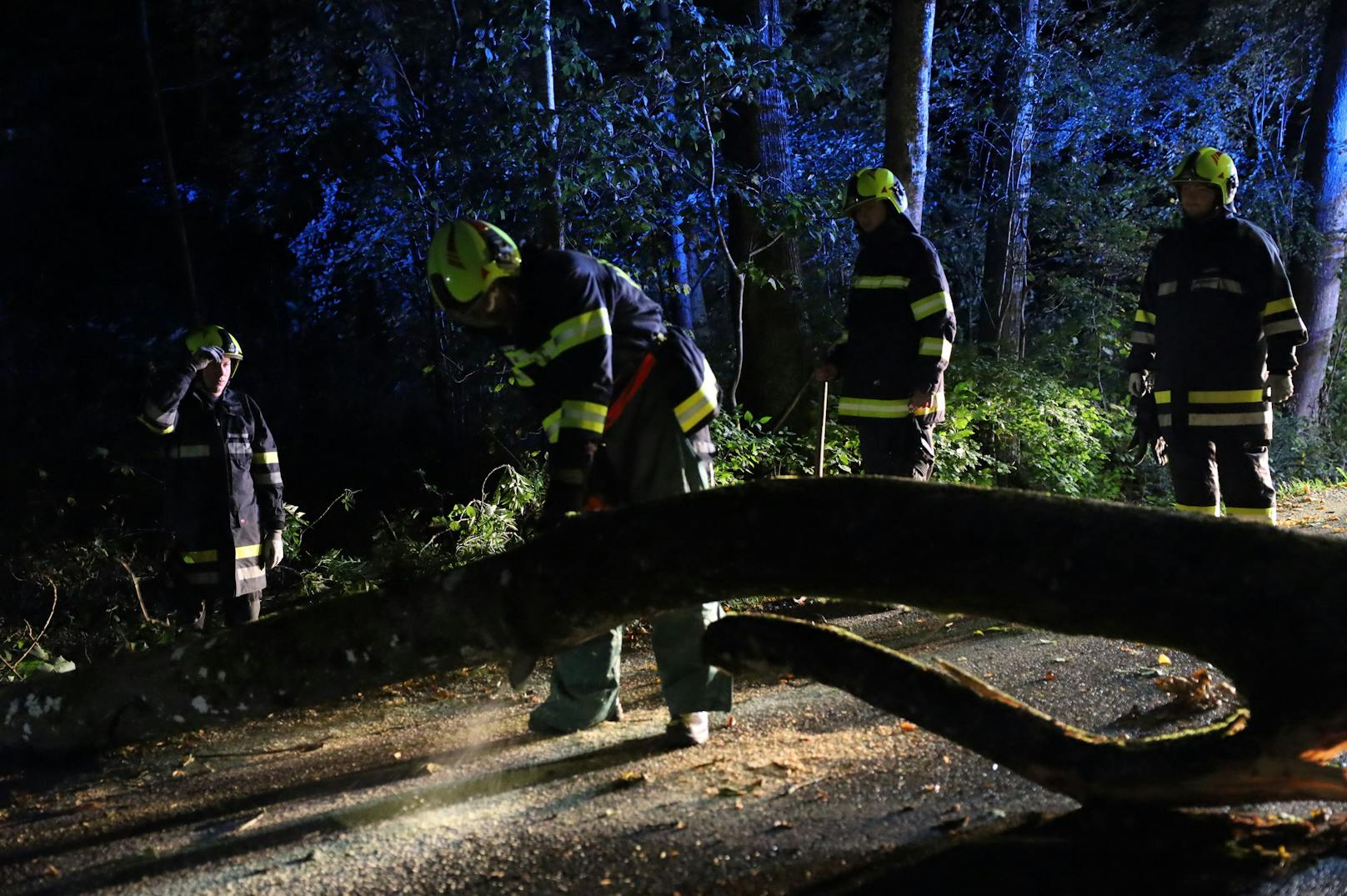 Mehrere Feuerwehren standen in der Nacht auf Mittwoch nach teils heftigen Sturmböen über Oberösterreich im Einsatz.