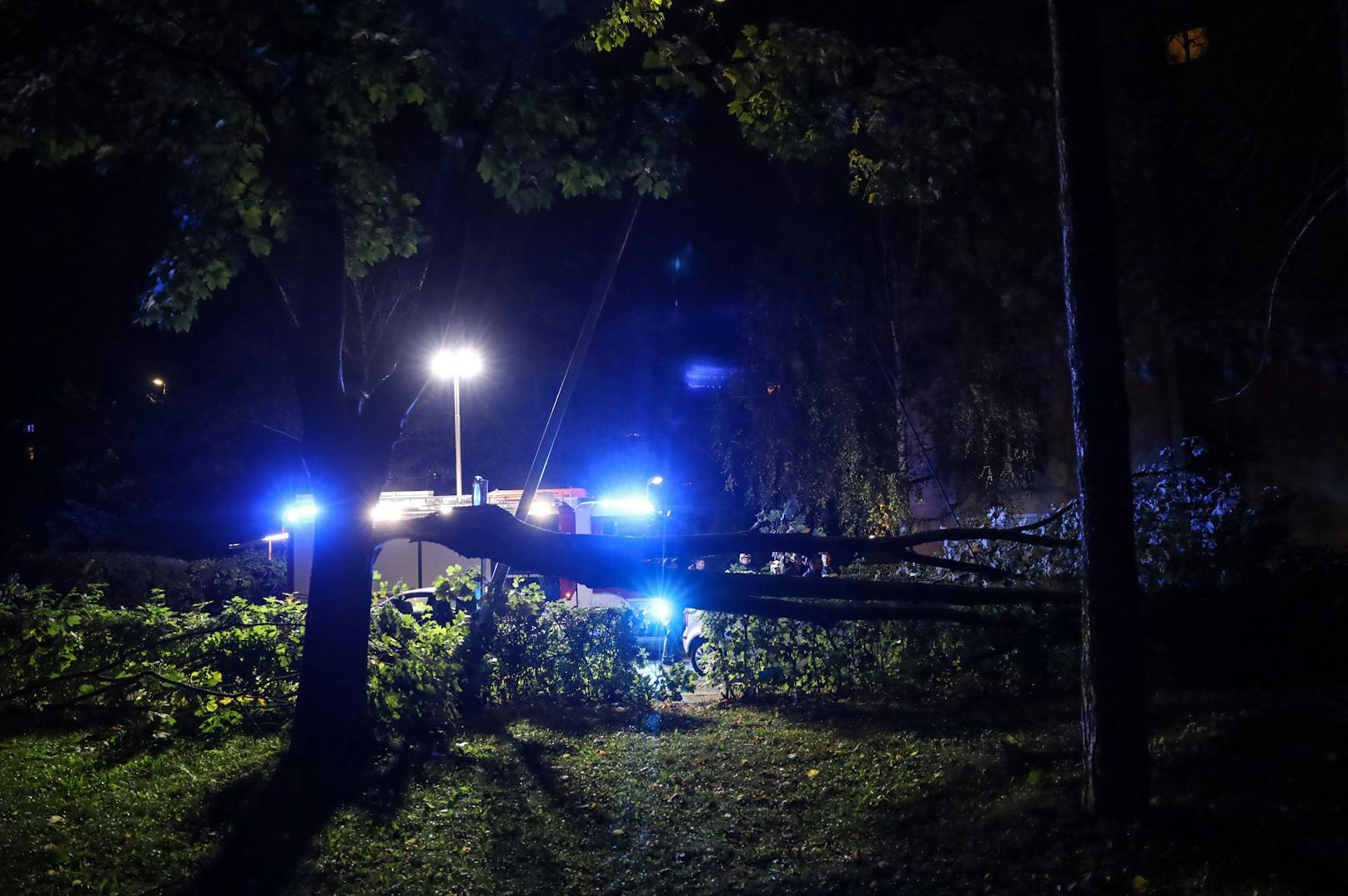 Mehrere Feuerwehren standen in der Nacht auf Mittwoch nach teils heftigen Sturmböen über Oberösterreich im Einsatz.