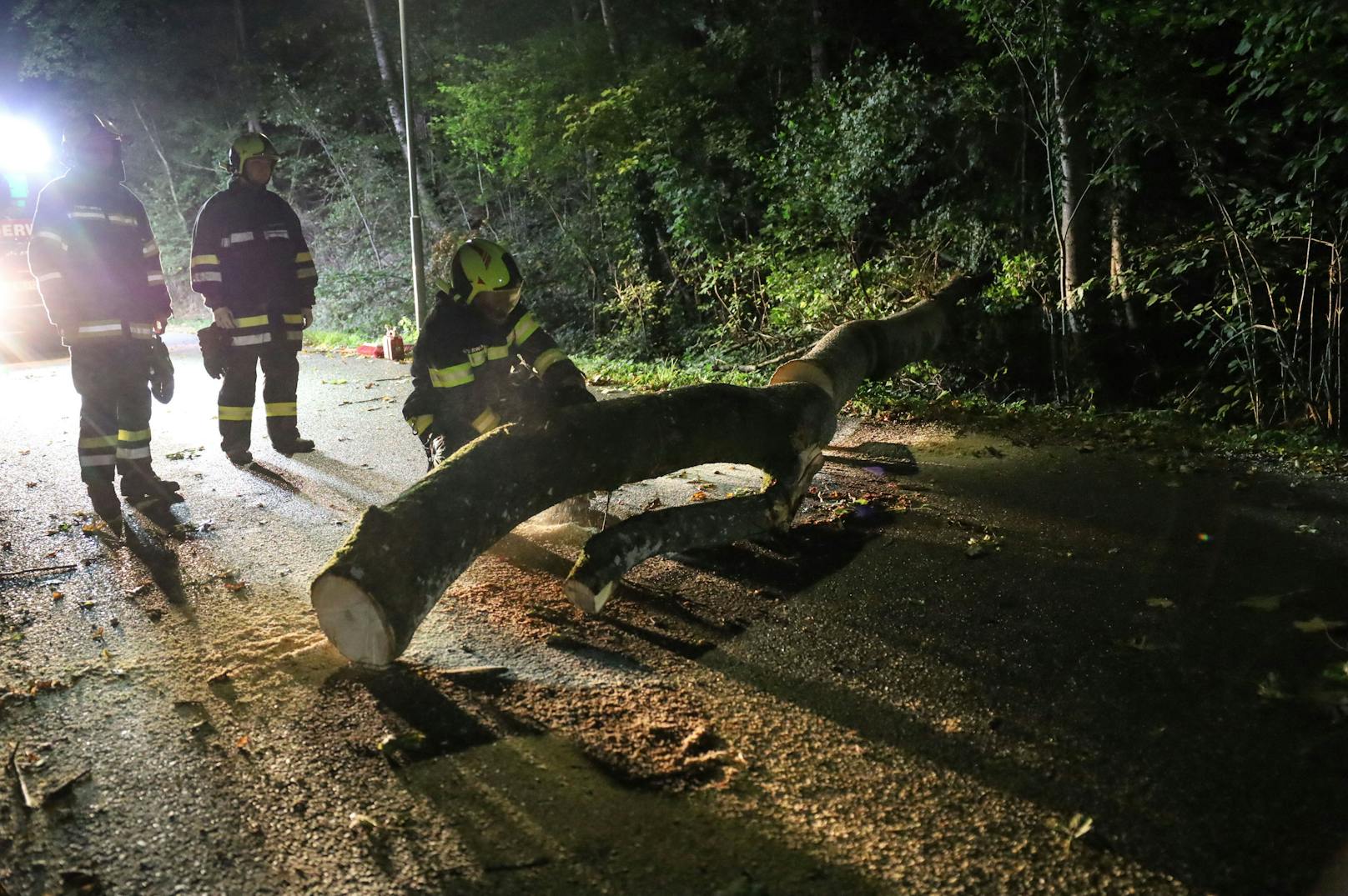 Mehrere Feuerwehren standen in der Nacht auf Mittwoch nach teils heftigen Sturmböen über Oberösterreich im Einsatz.