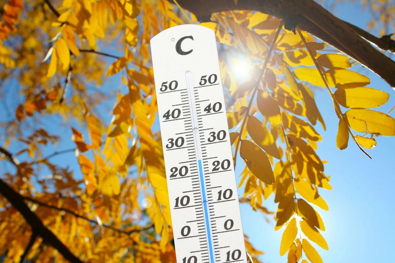 Dürre Bäume, 30 Grad im Oktober – 2023 so heiß wie nie