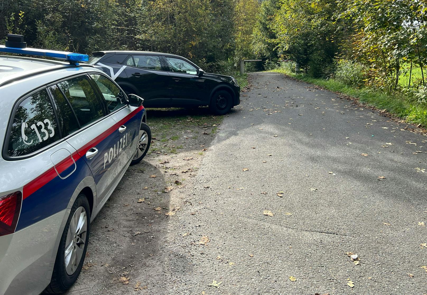 Am Mittwoch gegen 23 Uhr konnte eine Polizeistreife im Gemeindegebiet <a href="https://www.heute.at/oesterreich/tirol">von Waidring</a> auf der Bundestraße (B 178) einen schwarzen...&nbsp;