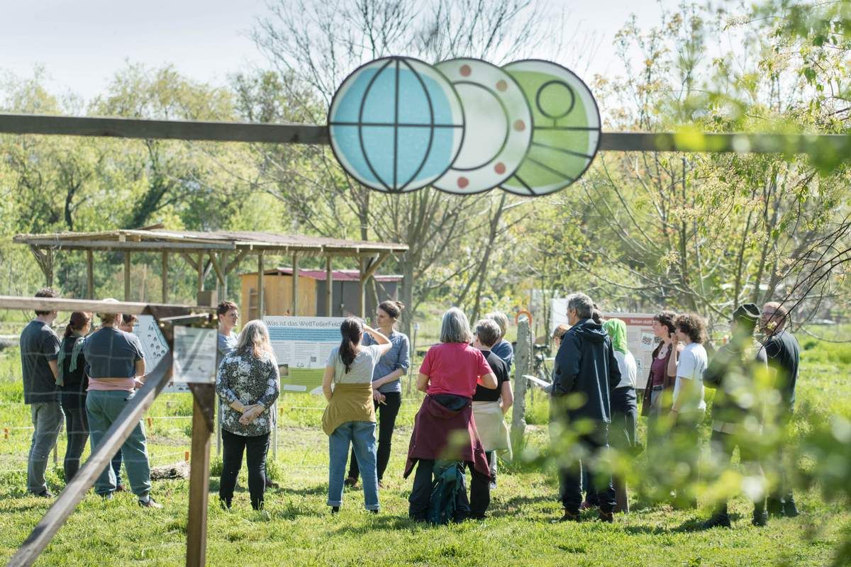 WeltTellerFeld mit stolze 3000 Quadratmetern.